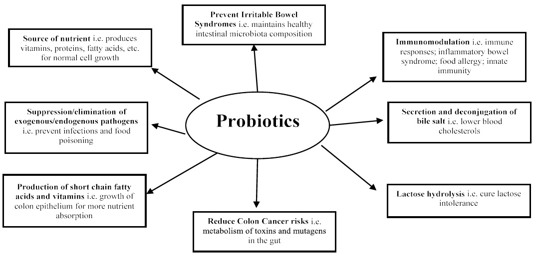 Beneficial Characteristics and Evaluation Criteria of Probiotics