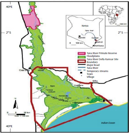 Molecular Characterization and Phylogenetic Analysis of Wuchereria ...